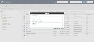 cpanel-guide-files