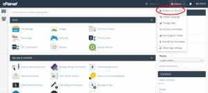 cpanel-password